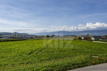 VENDU ! Charmant appartement traversant - 12