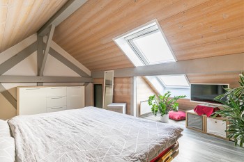 Belle maison avec jardin et appartement indépendant - 7