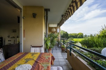 VENDU ! Bel appartement traversant - 6