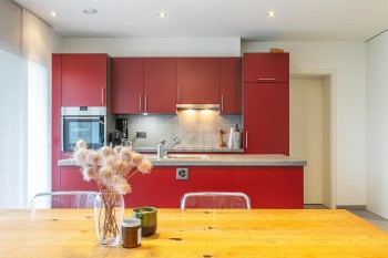 VENDU ! Bel appartement avec grande terrasse - 5