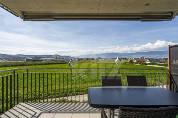 VENDU ! Charmant appartement traversant - 10