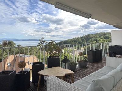 Superbe appartement avec vue panoramique sur le lac