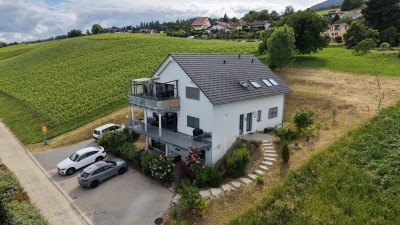 Maison récente de trois appartements avec vue sur le lac