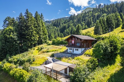 Beau chalet avec vue imprenable sur le Lac et les montagnes