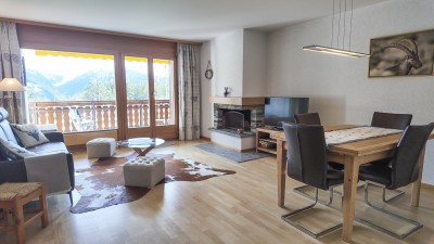 Bel appartement avec cheminée et vue dégagée