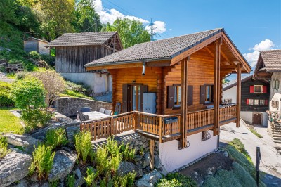 Charmant chalet avec terrasse, jardin et vue dégagée