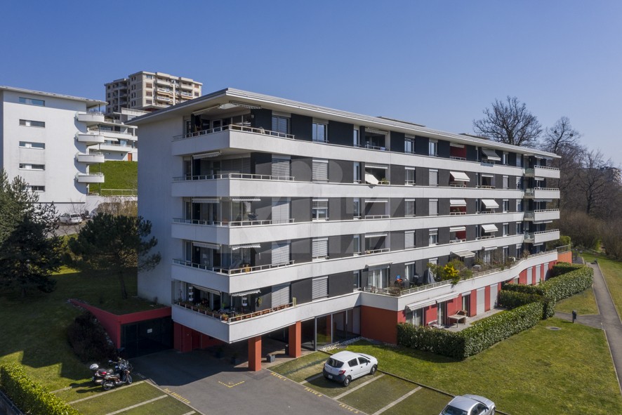 Très bel appartement traversant, spacieux et lumineux - 1