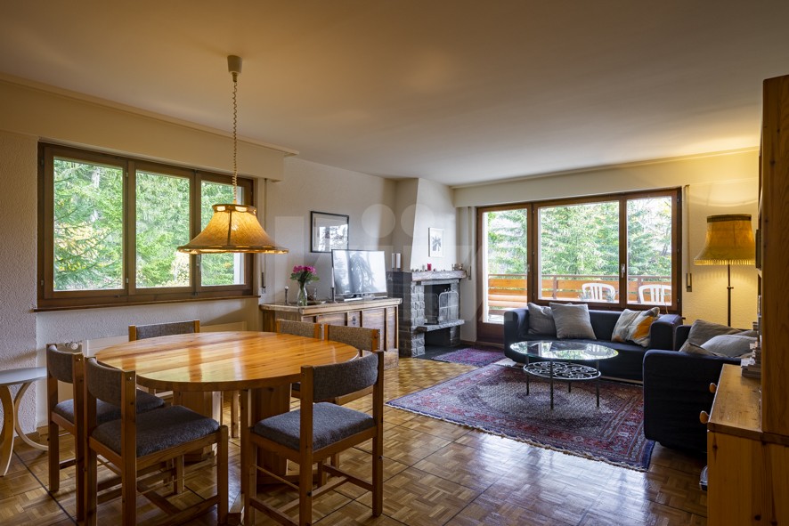 VENDU ! Magnifique appartement spacieux et très lumineux - 2