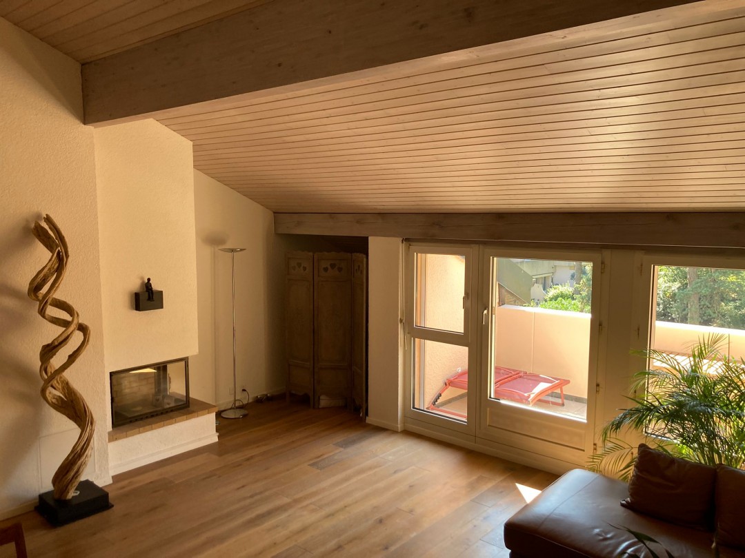 Superbe duplex dans une résidence avec grand parc privatif - 2